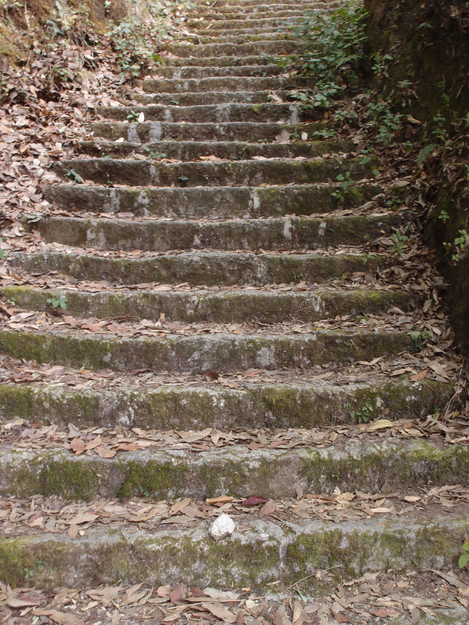 2018-01-16 12 Uhr - Im Shivapuri Nagarjun National Park (Nagi Gumba) (Foto) 